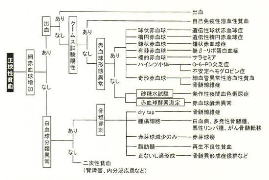 重度 の 貧血 症状