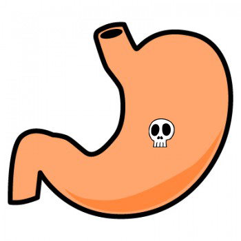 stomach-350x350.png
