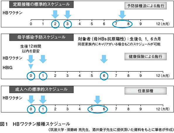 乳児のB型肝炎の危険因子は何ですか?